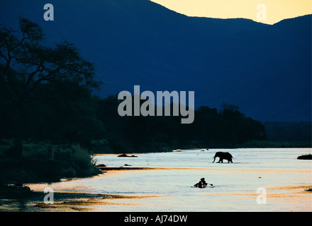 Un canot avec deux personnes approchant un éléphant comme il traverse la rivière Zambezi Mana Pools National Park Zimbabwe Banque D'Images