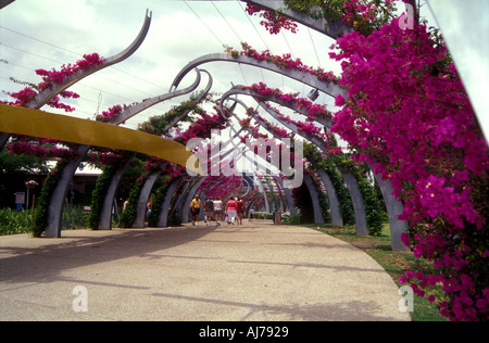 Arbor Energex marche Brisbane Queensland Australie 2454 Southpark Banque D'Images