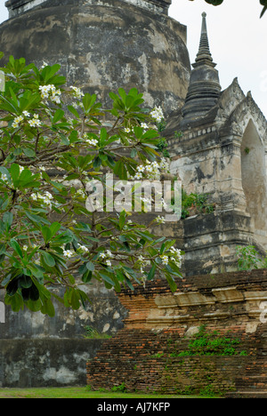 Ruines du temple à Ayutthaya, Thaïlande Banque D'Images