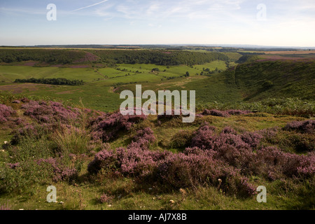 Le trou de Horcum et Levisham Moor Heather Août temps North York Moors National Park en Angleterre Banque D'Images