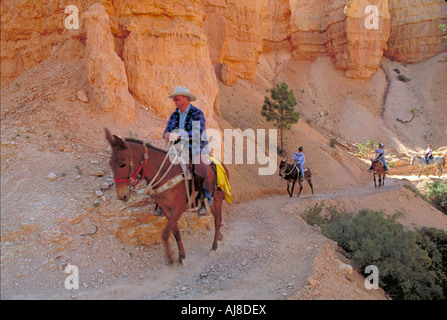 Elk224 3630 Utah Bryce Canyon NP Bryce amphitheater avec cavalier Banque D'Images