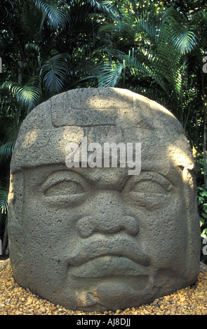 Tête Colossale Olmèque ou Monument 1 à la Parque Museo La Venta à Villahermosa, Tabasco, Mexique Banque D'Images