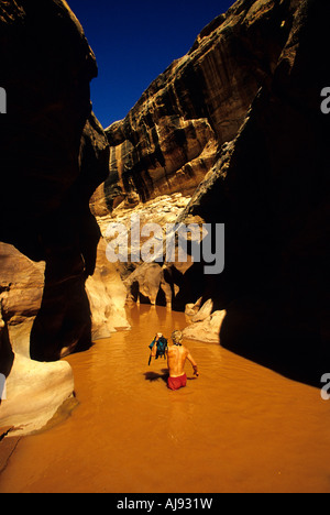 Pataugeant dans l'eau dans le canyon du désert Banque D'Images