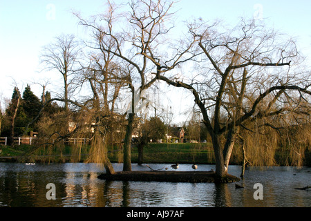 Commune de Chislehurst avec le lac Feb 2004 Banque D'Images