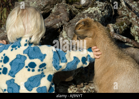 Stock Photo d'une fillette de deux ans jouer avec une chèvre pygmée l'image montre la petite fille poussant la route de chèvre Banque D'Images