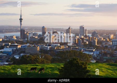 Skyline, Auckland, île du Nord, Nouvelle-Zélande Banque D'Images