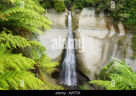 L'amortisseur montage Falls, King Pays, île du Nord, Nouvelle-Zélande Banque D'Images