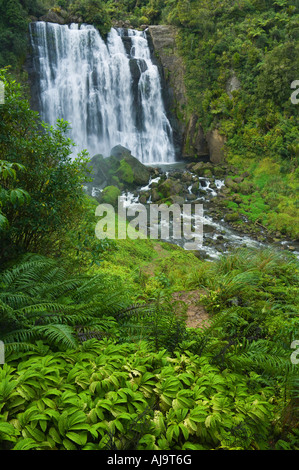 Marokopa Falls, King Pays, île du Nord, Nouvelle-Zélande Banque D'Images