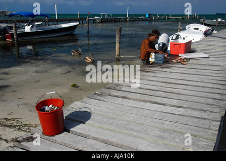 Les pêcheurs de poissons de déchargement après son retour de mer à Caye Caulker Banque D'Images