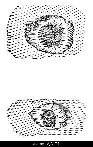 Dessin de Galilée de cratères lunaires, 1611, c1655). Artiste : Inconnu Banque D'Images