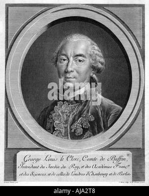 Georges-Louis Leclerc, Comte de Buffon, naturaliste français, 1761. Artiste : Inconnu Banque D'Images