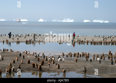 Manchots royaux et les touristes sur la plage à St Andrews Bay South Georgia Island la plus grande colonie de pingouins roi dans le monde Banque D'Images