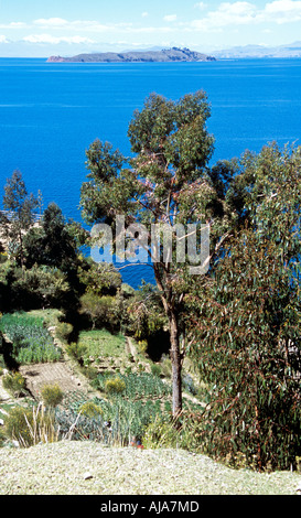 L'île de la lune à distance du complexe culturel Inti Wata sur l'île du soleil, lac Titicaca, près de Copacabana, Bolivie Banque D'Images