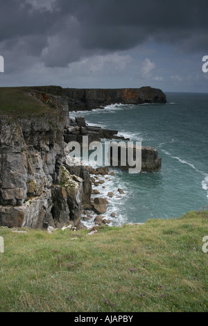 À la tête de l'Est St Govans, Pembrokeshire Banque D'Images