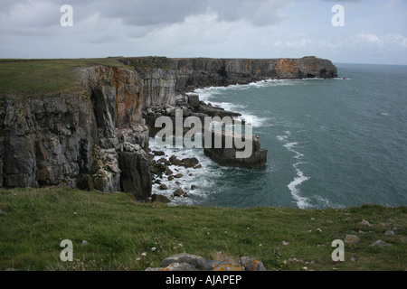 À la tête de l'Est St Govans, Pembrokeshire Banque D'Images