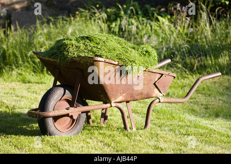 Brouette pleine de tas de tontes d'herbe verte prête pour le compostage Banque D'Images