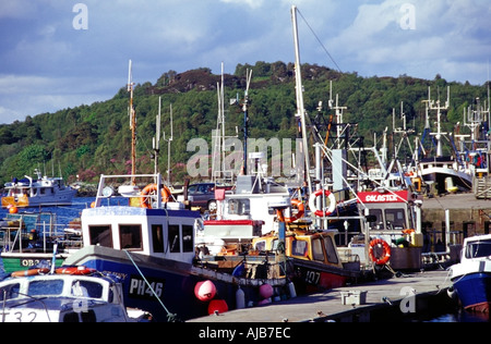 Des bateaux de pêche à l'Europe l'Ecosse Loch Fyne tarbert Banque D'Images
