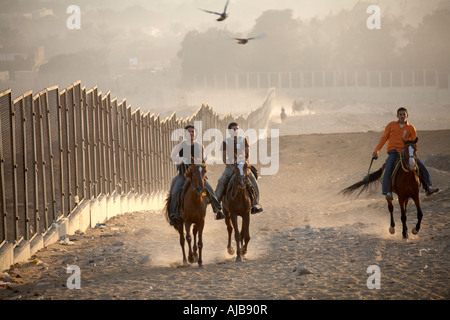 La population locale équitation chevaux galopant dans le désert pierreux par barrière de sécurité autour de pyramides complexe dans la lumière du soleil tôt le matin, ciel voilé, G Banque D'Images