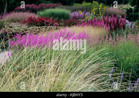 Pensthorpe Millenium Garden Août Sept Herbes Piet Oudolf designer Banque D'Images