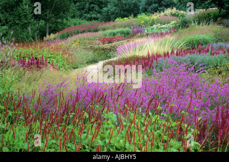 Pensthorpe Jardin Millenium Lythrum Persicaria Graminées Astilbe Banque D'Images