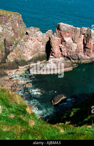 St Abbs Head Ecosse Banque D'Images