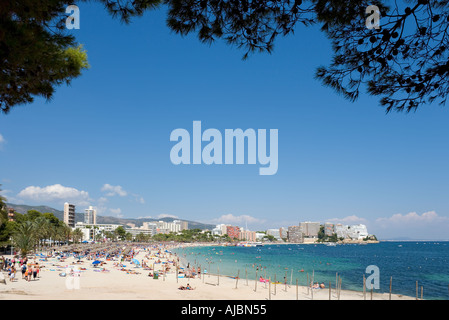 Plage, Magaluf, Baie de Palma, Majorque, Îles Baléares, Espagne Banque D'Images