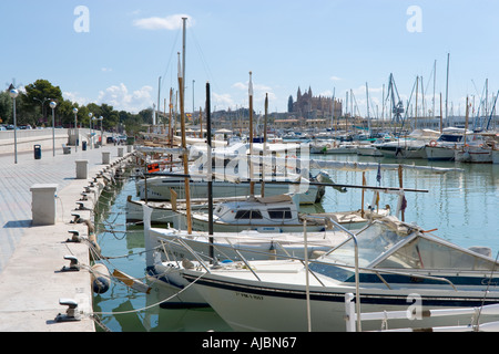 Port avec la cathédrale au loin, Palma, Majorque, Îles Baléares, Espagne Banque D'Images