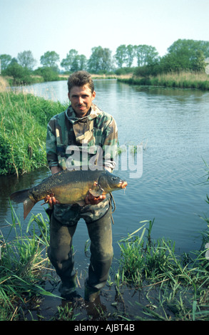 La carpe, la carpe commune, la carpe (Cyprinus carpio), poisson pêcheur à Banque D'Images