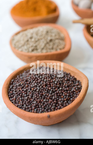 Portrait de plats en céramique remplis de graines de moutarde noire;Jeeru Poudre et Marsala Banque D'Images