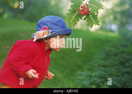 Enfant curieux en chapeau bleu à cadeaux natures Banque D'Images