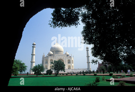 1632 Taj Mahal construit par l'Empereur Shahjahan parfaitement encadrée par arbre dans les jardins adjacents Agra Inde Une vue peu fréquentée Banque D'Images