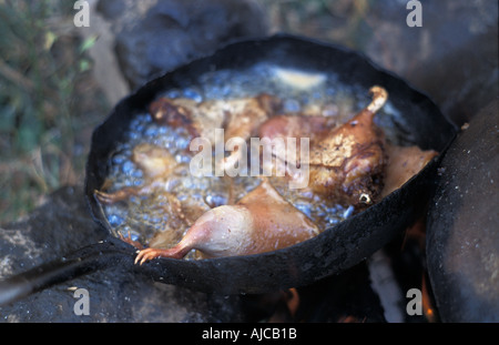 Cuy frits est un cobaye péruvien inhabituelle délicatesse à vendre à l'échelle locale fiesta Huata nord du Pérou Banque D'Images