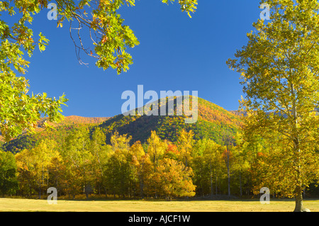 La Cades Cove de Great Smoky Mountains National Park, à l'apogée des couleurs de l'automne. Octobre à New York, USA. Banque D'Images