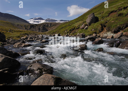 Courant Rapide de ruisseau de montagne qui descend des collines au-dessus de Faskrudsfjordur dans les Fjords de l'Est Région de l'Est de l'Islande Banque D'Images