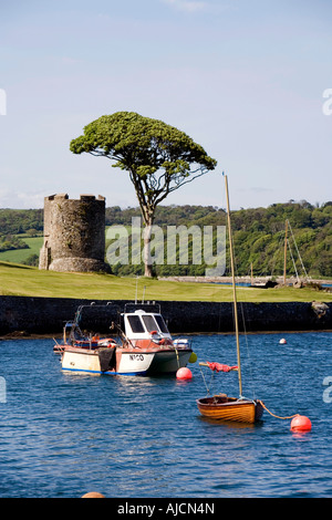 Royaume-uni Irlande du Nord County Down Strangford bateaux amarrés dans le port près de l'ancienne tour défensive Banque D'Images