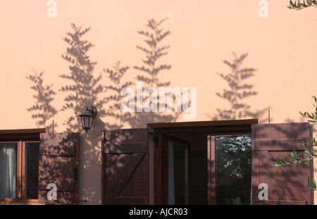 Soleil du matin d'ombres jette un caroubier sur le mur d'une maison grecque Banque D'Images