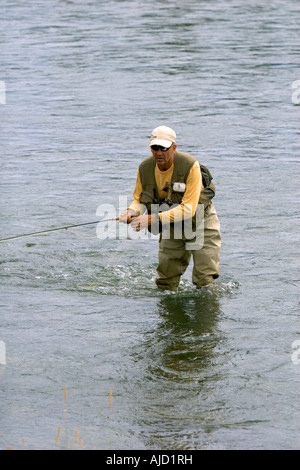 La pêche à la mouche sur la fourchette d'Henry de la Snake River dans le sud-est de l'Idaho Banque D'Images