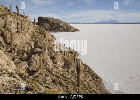 Cactus colonne sur Isla de Pescado de Salar de Uyuni, Bolivie Banque D'Images