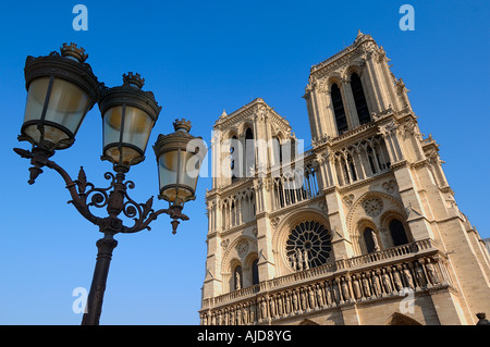 Vue de la façade ouest de la Cathédrale Notre Dame avec l'éclairage de rue, Paris, France Banque D'Images