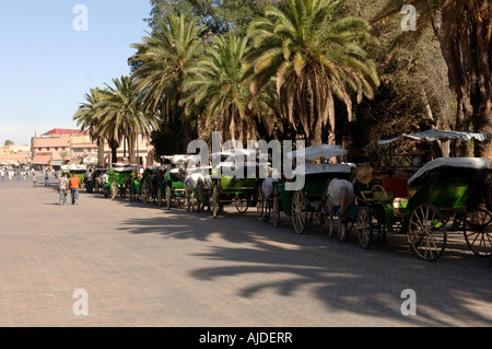 Ligne de calèches - Place Djemaa el-Fna Marrakech Maroc Banque D'Images