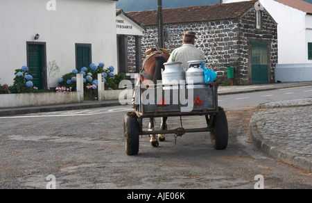 Agriculteur avec cheval et panier transportant des bidons de lait, Sete Cidades, l'île de São Miguel, aux Açores. Banque D'Images