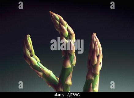 La vie artistique de trois encore asperges asperges artistique conseils alimentaires nutrition végétale green spears Banque D'Images