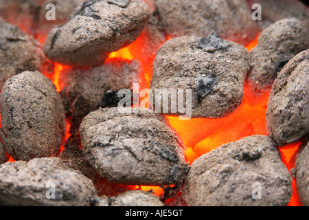 Bûches de bois ruf charbon brûle close up shot Banque D'Images