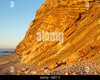 Plis zig-zag dans les sédiments carbonifères Millook Haven patrimoine atlantique Coast Cornwall England Royaume-Uni Banque D'Images