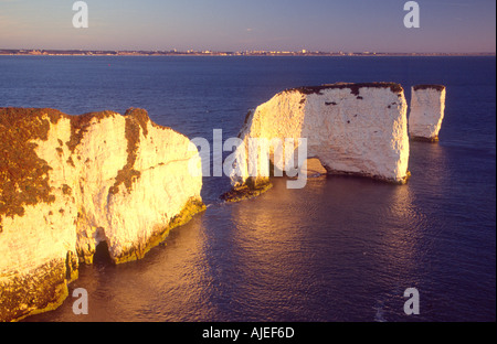 Old Harry une ligne de rochers et îlots de craie nr Studland Grande-bretagne Dorset Banque D'Images