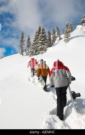 Trois ados (16-17) holding snowboards, randonnées dans la neige, vue arrière. Banque D'Images