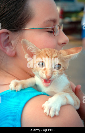 11 ans avec ici nouvel animal chat qui est de 16 semaines et un Rex de Cornouailles par Oriental cross mismatch Banque D'Images