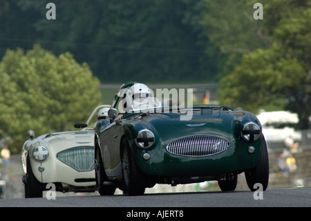 Fred Fischer dans son 1955 Austin Healey 100S est suivie de l'Healey 1954 100M de Bruce Earle à Road America 2006 Banque D'Images