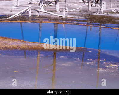 Piscine Bassin de sable noir opalescent Parc National de Yellowstone au Wyoming USA Banque D'Images