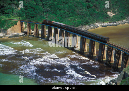 Train roulant sur l'embouchure de la rivière Kaaimans viaduc ferroviaire au désert sur la Route des jardins en Afrique du Sud Banque D'Images